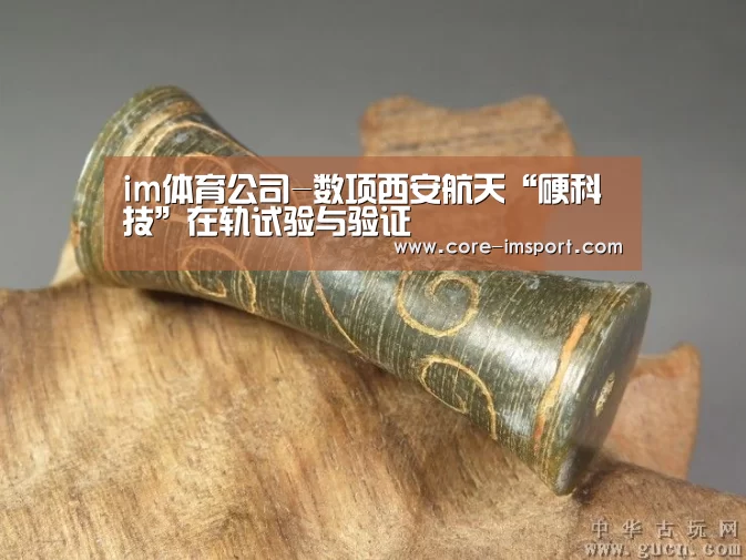 im体育公司-数项西安航天“硬科技”在轨试验与验证(图3) im体育