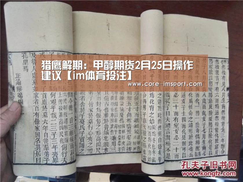 猎鹰解期:甲醇期货2月25日操作建议【im体育投注】(图3) 世界杯2026