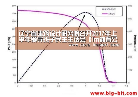 im体育公司