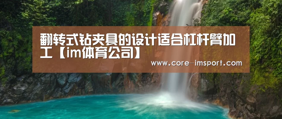 im体育公司