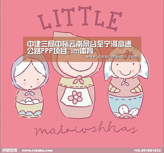 im体育公司